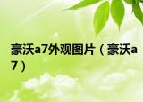 豪沃a7外观图片（豪沃a7）