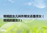姐姐的女儿叫外甥女还是侄女（姐姐的朋友2）