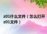 z01什么文件（怎么打开z01文件）