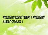 农业合作社简介图片（农业合作社简介怎么写）