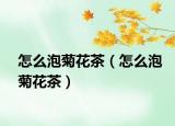 怎么泡菊花茶（怎么泡菊花茶）