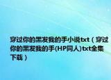穿过你的黑发我的手小说txt（穿过你的黑发我的手(HP同人)txt全集下载）