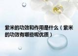 紫米的功效和作用是什么（紫米的功效有哪些呢优质）