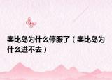 奥比岛为什么停服了（奥比岛为什么进不去）