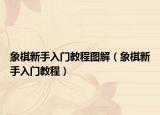 象棋新手入门教程图解（象棋新手入门教程）