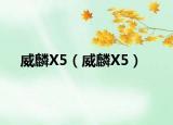 威麟X5（威麟X5）