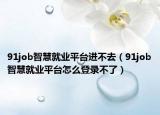 91job智慧就业平台进不去（91job智慧就业平台怎么登录不了）
