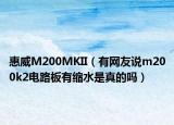 惠威M200MKII（有网友说m200k2电路板有缩水是真的吗）