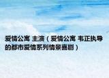 爱情公寓 主演（爱情公寓 韦正执导的都市爱情系列情景喜剧）