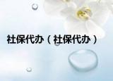社保代办（社保代办）