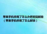 苹果手机停用了怎么办把密码解除（苹果手机停用了怎么解锁）