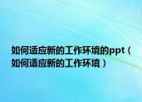 如何适应新的工作环境的ppt（如何适应新的工作环境）