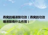 燕窝的唾液酸功效（燕窝的功效唾液酸有什么作用）