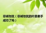 非诚勿扰（非诚勿扰的叶恩牵手成功了吗）