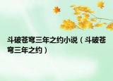 斗破苍穹三年之约小说（斗破苍穹三年之约）