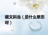 藏文斜当（是什么意思呀）