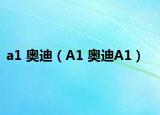 a1 奥迪（A1 奥迪A1）