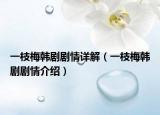 一枝梅韩剧剧情详解（一枝梅韩剧剧情介绍）