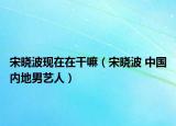 宋晓波现在在干嘛（宋晓波 中国内地男艺人）