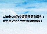 windows的资源管理器有哪些（什么是Windows资源管理器）