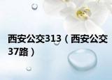 西安公交313（西安公交37路）