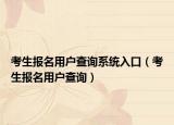 考生报名用户查询系统入口（考生报名用户查询）
