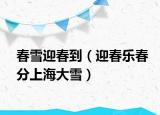 春雪迎春到（迎春乐春分上海大雪）