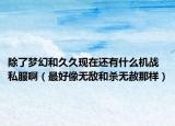 除了梦幻和久久现在还有什么机战私服啊（最好像无敌和杀无赦那样）