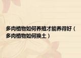 多肉植物如何养殖才能养得好（多肉植物如何换土）