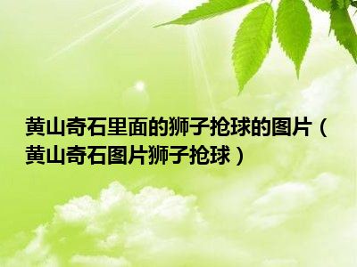 狮子抢球好像图片