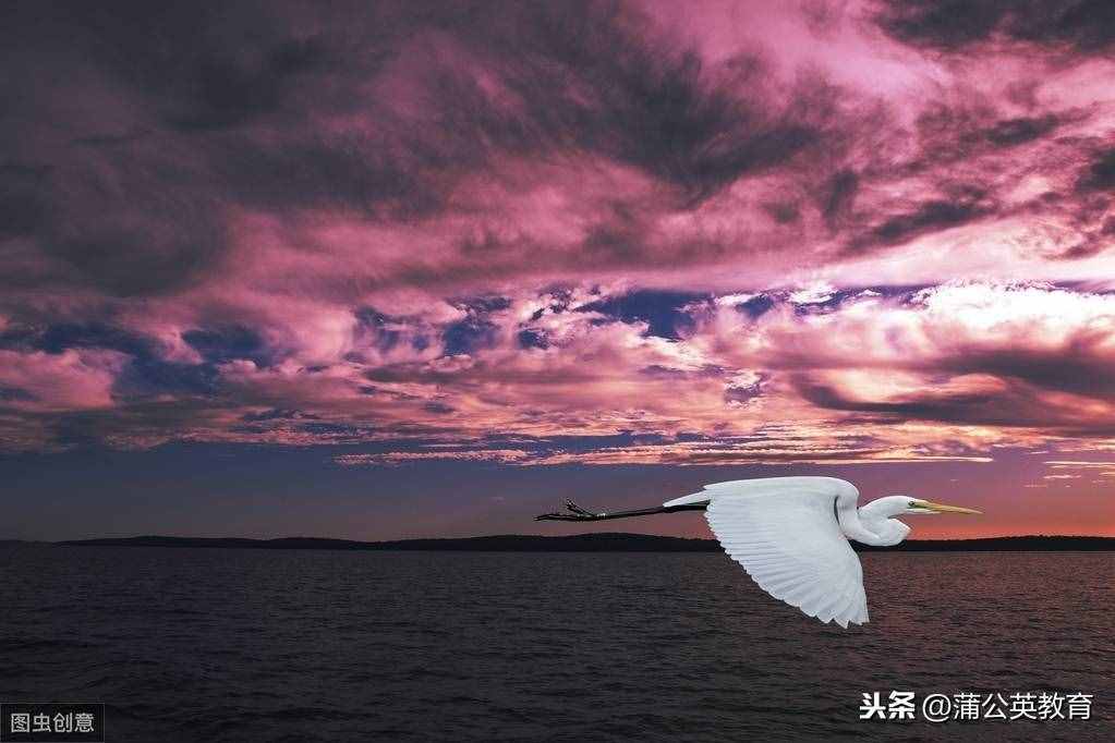 “五大三粗”到底是哪“五大”、哪“三粗”？