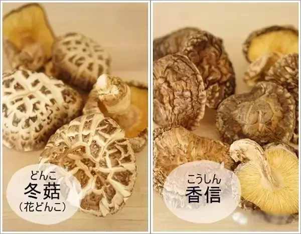 你还是香菇冬菇傻傻分不清，不清楚的都进来看看吧！