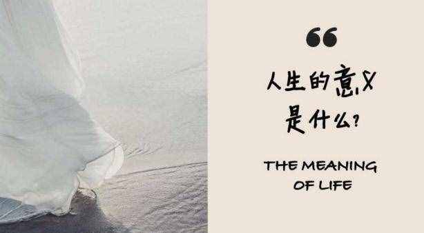 意义什么意思(毫无意义的意思)