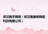 武汉推手网络（武汉推推棒网络科技有限公司）
