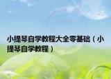 小提琴自学教程大全零基础（小提琴自学教程）