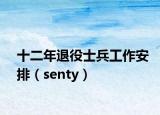 十二年退役士兵工作安排（senty）