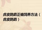 虎皮鹦鹉正确饲养方法（虎皮鹦鹉）