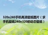 320x240手机高清壁纸图片（求手机壁纸240x320的动态壁纸）