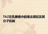 TAZ在乳腺癌中的表达调控及其分子机制