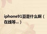 iphone91豆是什么啊（在线等...）