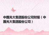中国光大集团股份公司财报（中国光大集团股份公司）