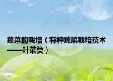 蔬菜的栽培（特种蔬菜栽培技术——叶菜类）