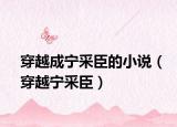 穿越成宁采臣的小说（穿越宁采臣）