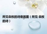 所见袁枚的诗意画面（所见 袁枚的诗）