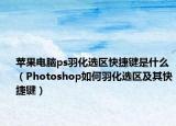 苹果电脑ps羽化选区快捷键是什么（Photoshop如何羽化选区及其快捷键）