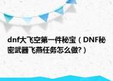 dnf大飞空第一件秘宝（DNF秘密武器飞燕任务怎么做?）