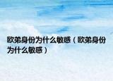 欧弟身份为什么敏感（欧弟身份为什么敏感）
