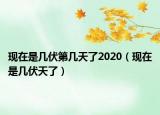现在是几伏第几天了2020（现在是几伏天了）