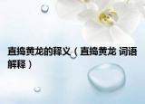 直捣黄龙的释义（直捣黄龙 词语解释）