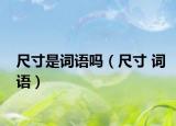 尺寸是词语吗（尺寸 词语）